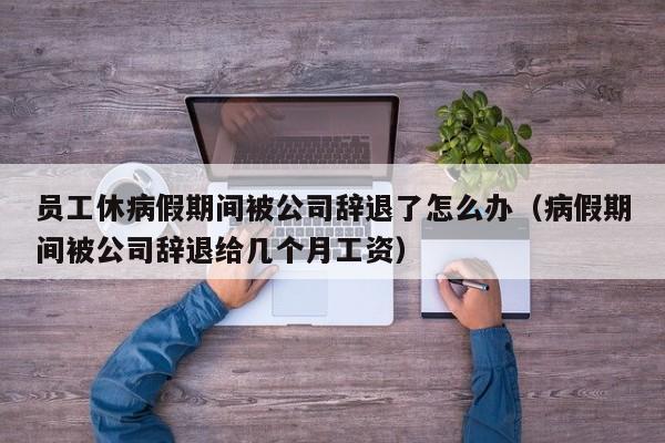 员工休病假期间被公司辞退了怎么办（病假期间被公司辞退给几个月工资）